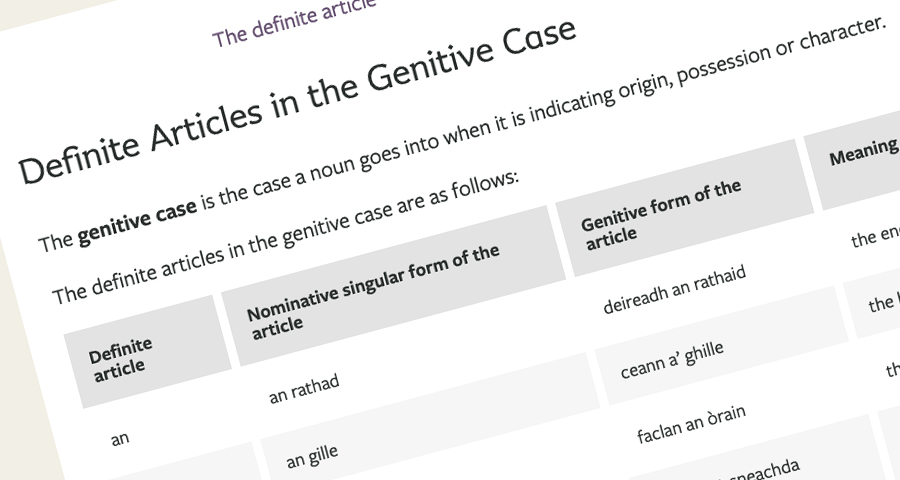 screenshot of info on the definite article in the genitive case